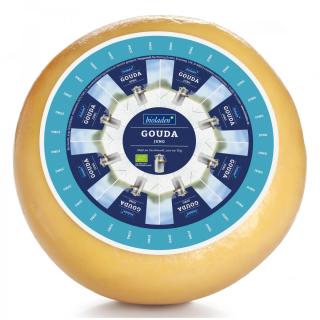 Gouda jung