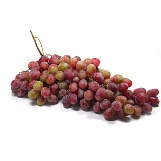 Trauben rot kernlos