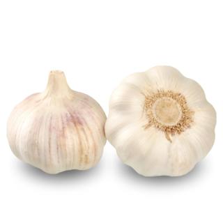 Knoblauch