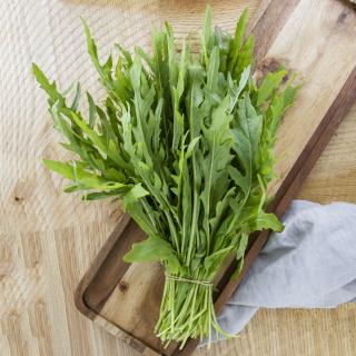 Rucola, eigener Anbau