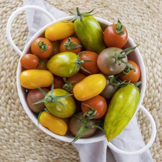 Cherrytomaten Mix, eigener Anbau