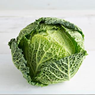 Wirsing, eigener Anbau