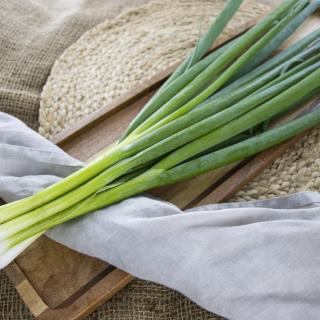 Lauchzwiebeln, eigener Anbau