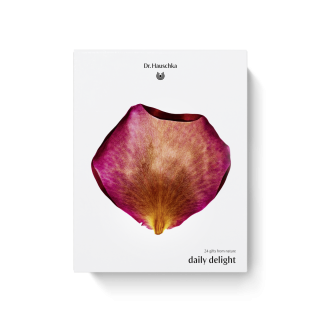 Weihnachten Adventskalender 2025