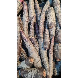 Möhren Purpurne Paula / Deep Purple